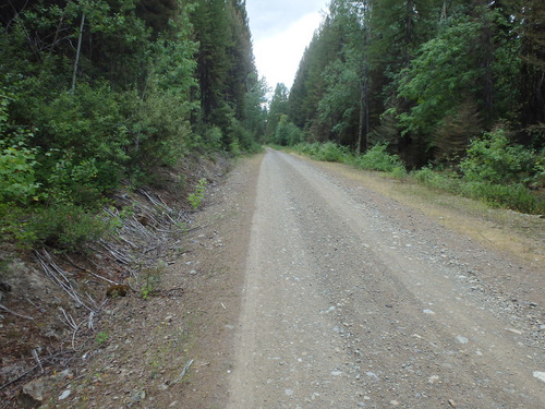 GDMBR: NF-4370 seemed to be a well used National Forest Road.